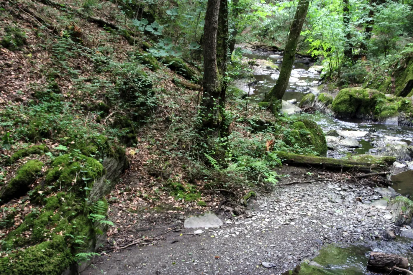 Ehrbachklamm Emmelshausen Hunsrück OutdoorSucht - 13