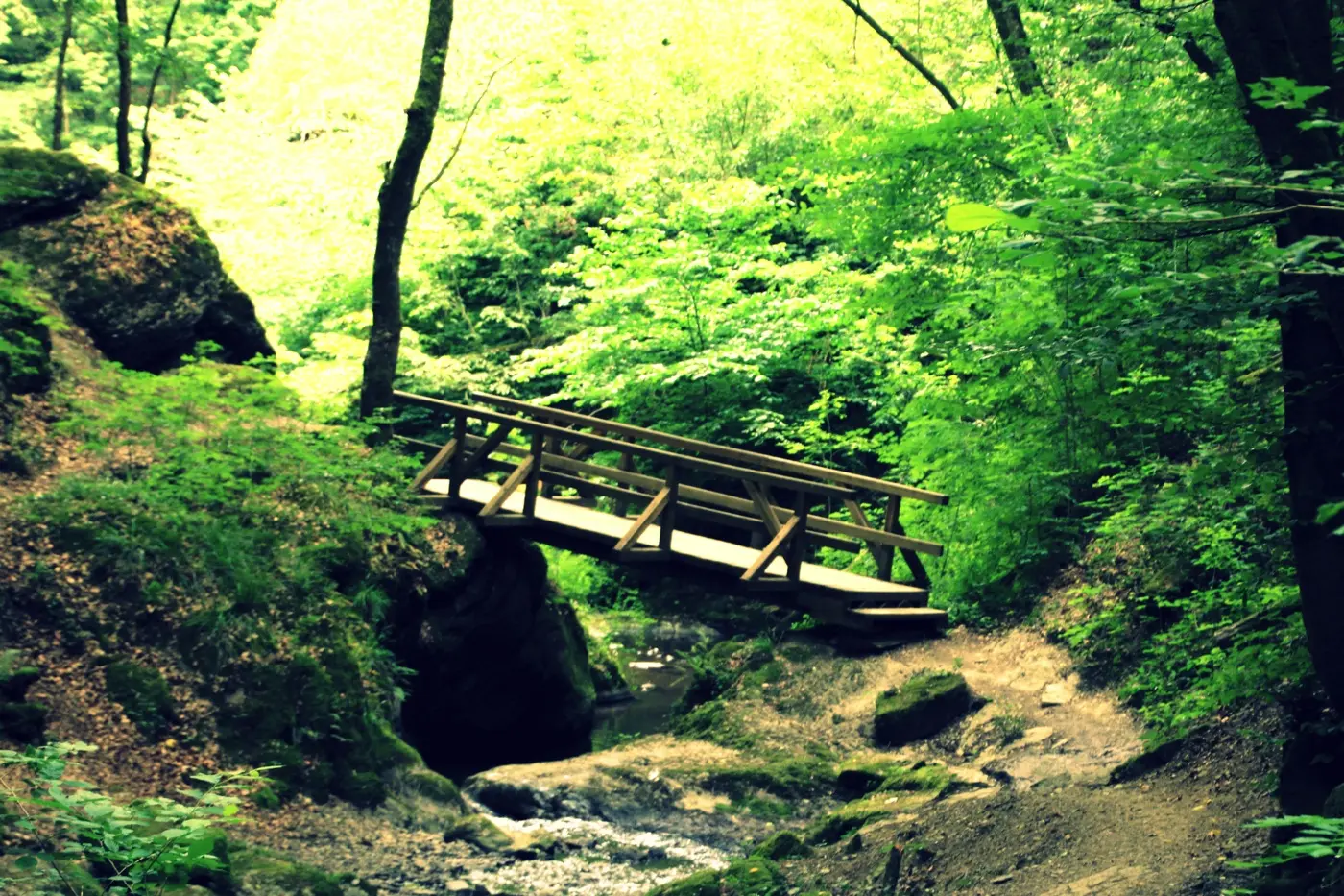 Ehrbachklamm Emmelshausen Hunsrück OutdoorSucht - 18