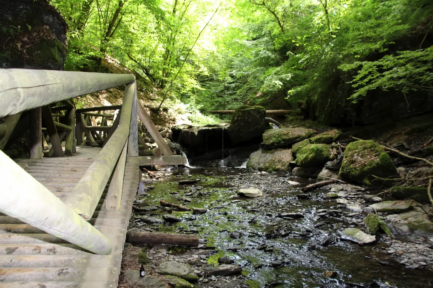Ehrbachklamm Emmelshausen Hunsrück OutdoorSucht - 23