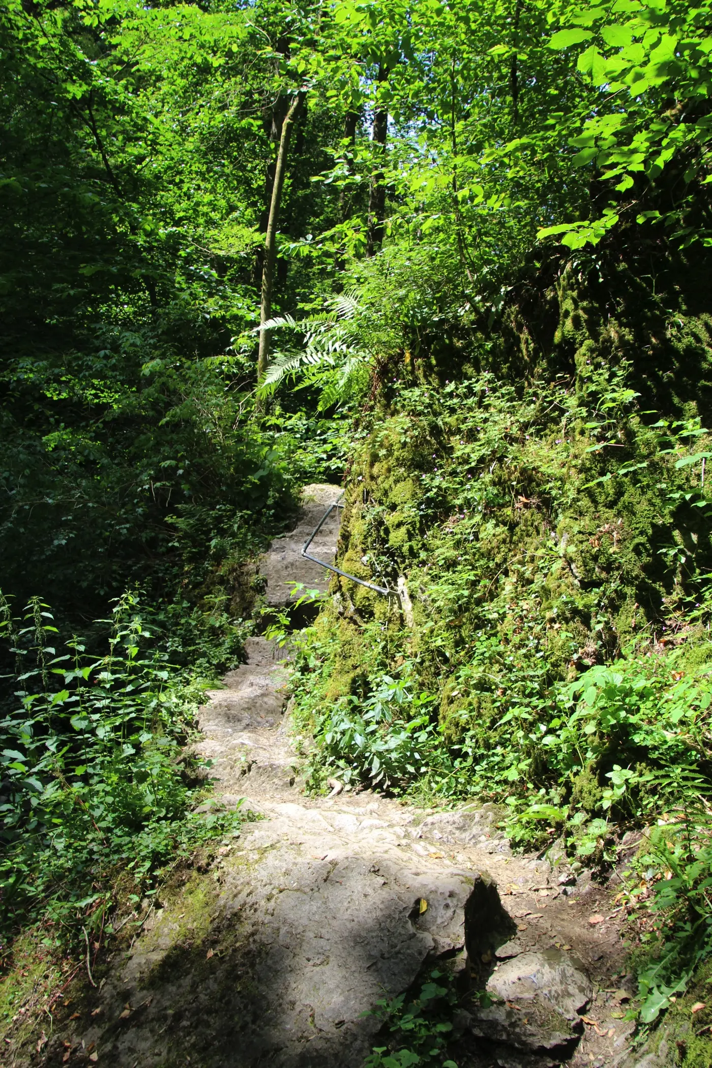 Ehrbachklamm Emmelshausen Hunsrück OutdoorSucht - 27