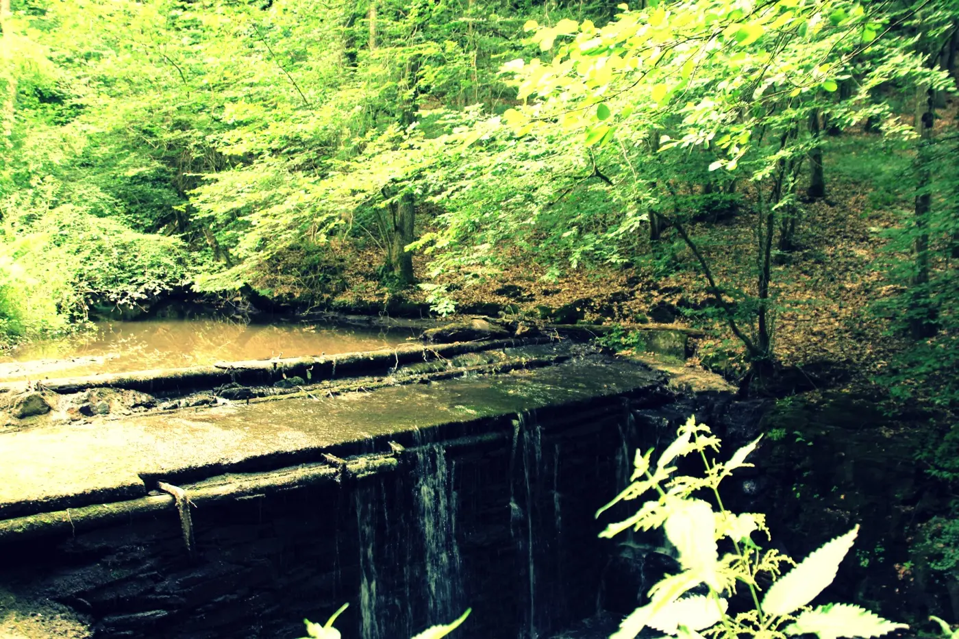 Ehrbachklamm Emmelshausen Hunsrück OutdoorSucht - 6