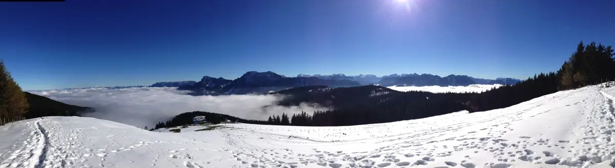 Stoißer Alm Anger Berchtesgadener Land - 56