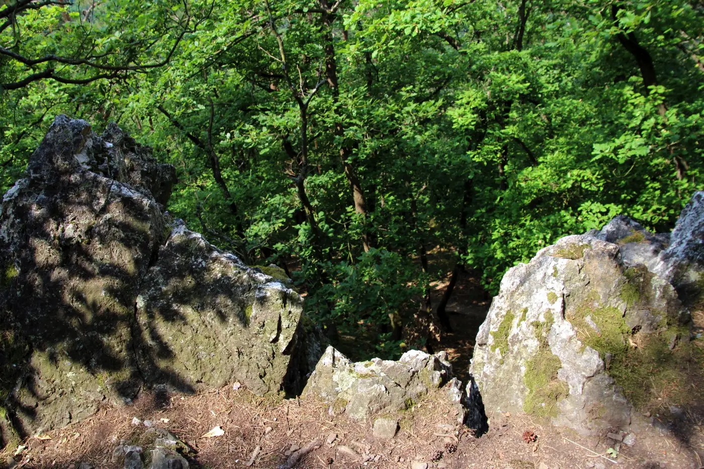 Traumschleife Murscher Eselsche Saar-Hunsrück-Steig