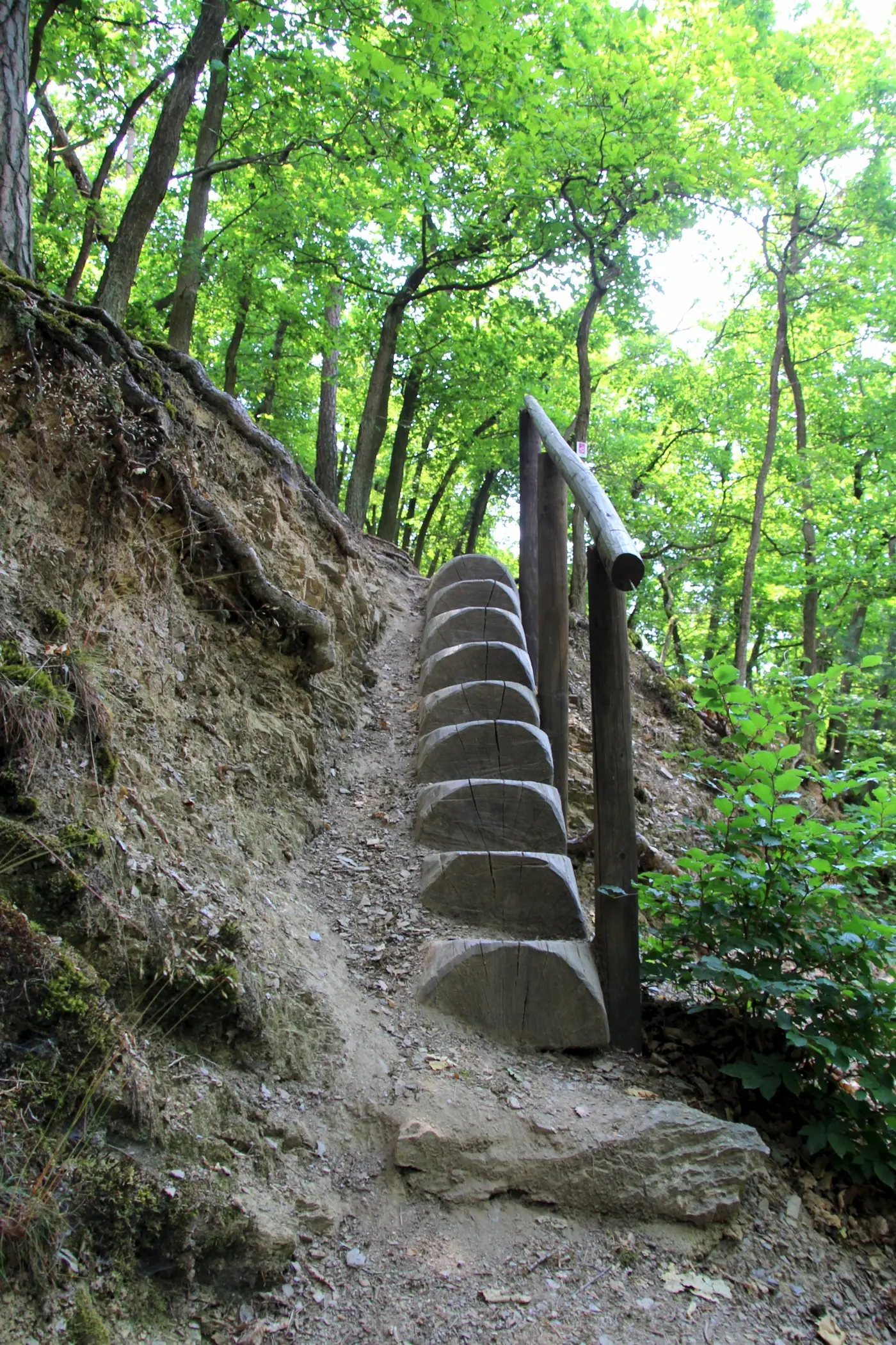 Traumschleife Murscher Eselsche Saar-Hunsrück-Steig
