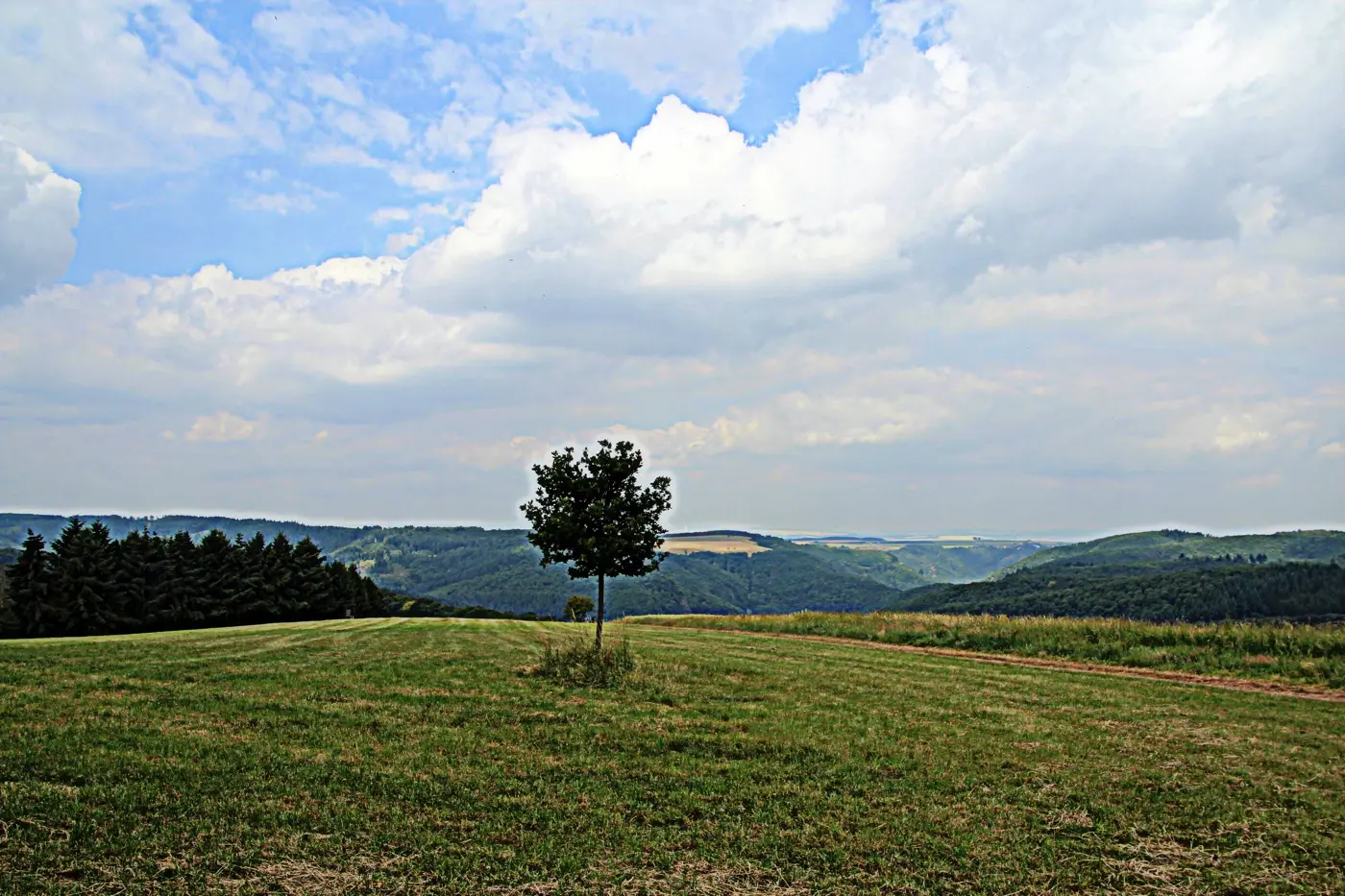 Traumschleife Murscher Eselsche Saar-Hunsrück-Steig