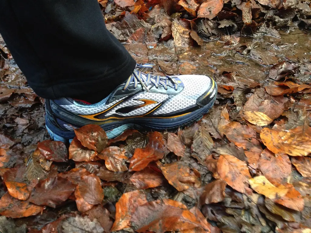 Neue Laufschuhe fürs Gelände – Brooks Ghost 7 GTX