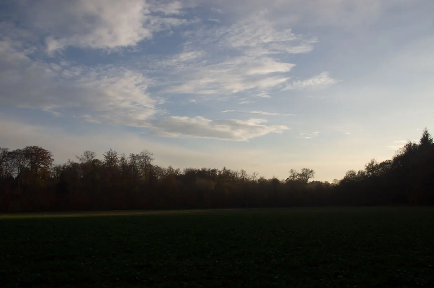 Dämmerwanderung Hunsrück