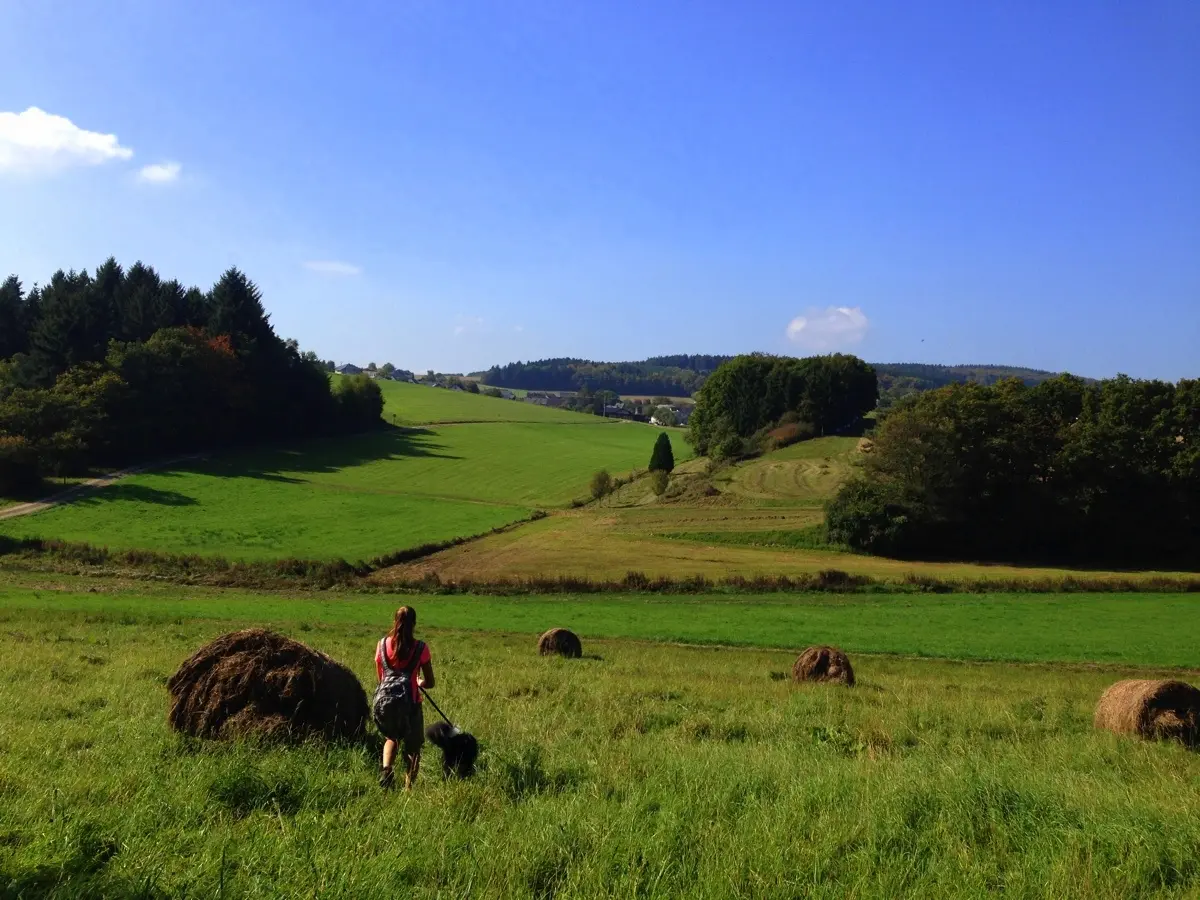 Traumschleife Mittelalterpfad Herrstein Saar Hunsueck Steig - 22