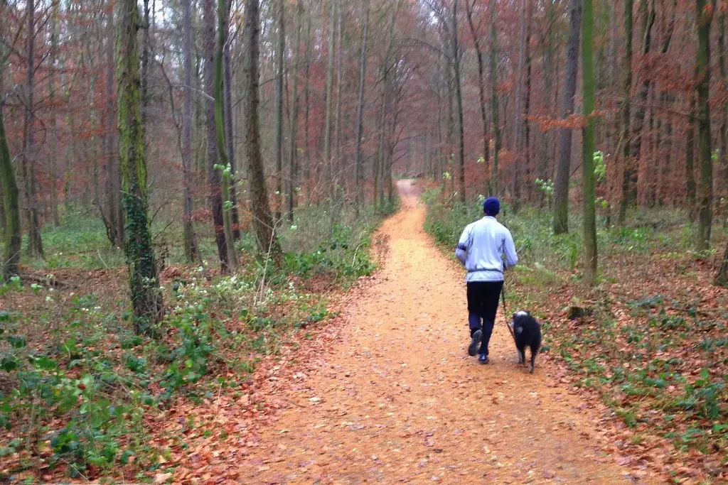 Laufleine für Hund und Jogger