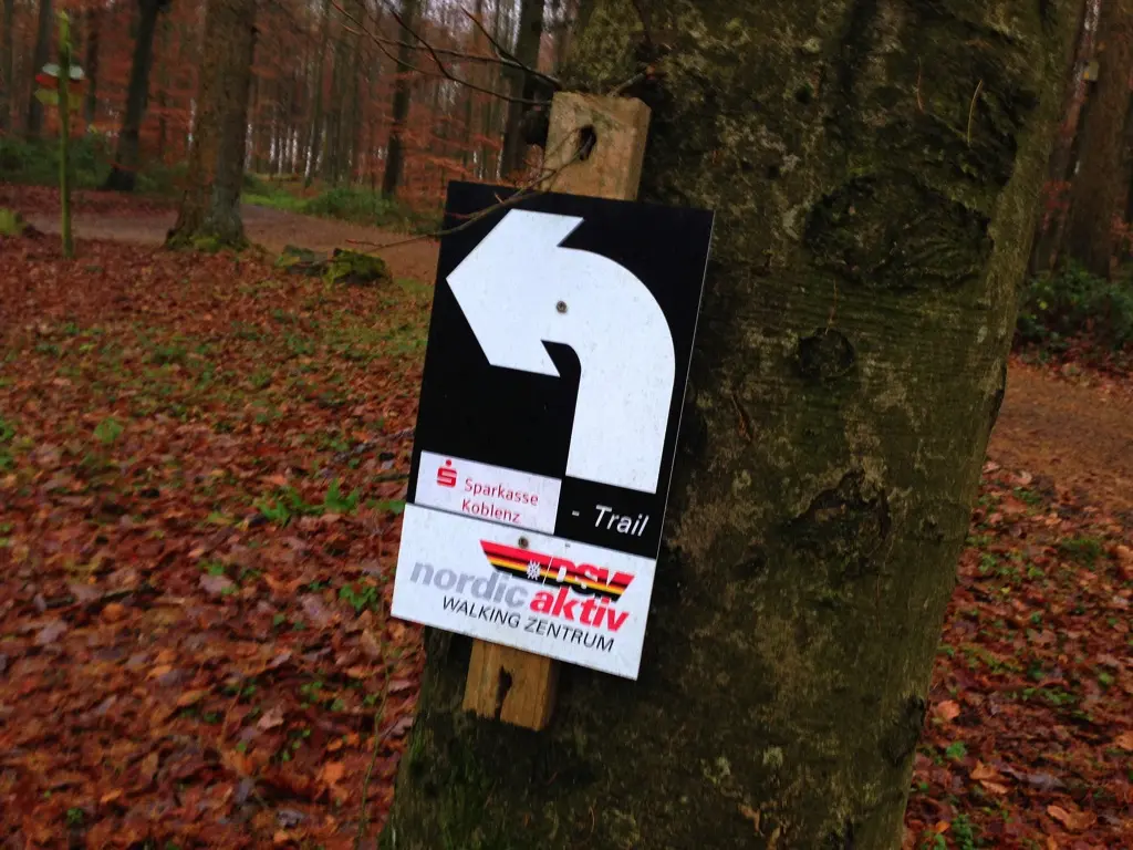 11km Traillauf im Stadtwald Koblenz auf dem Remstecken