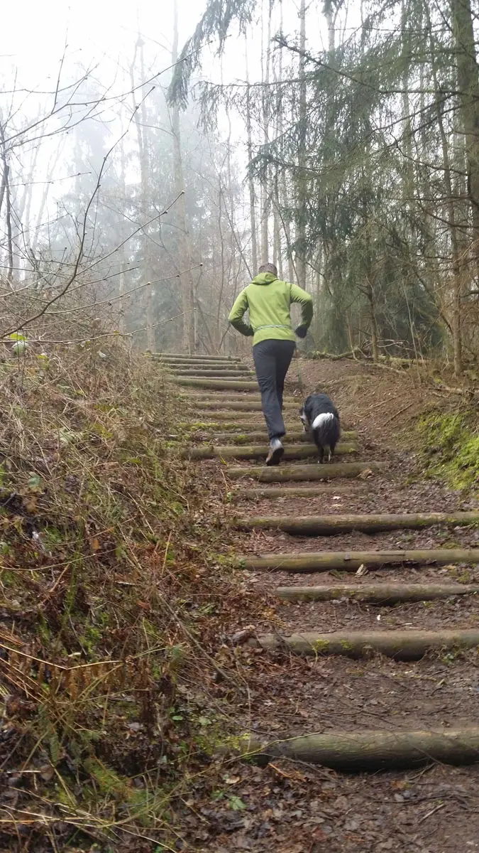 Wanderweg Mülheim Kärlich