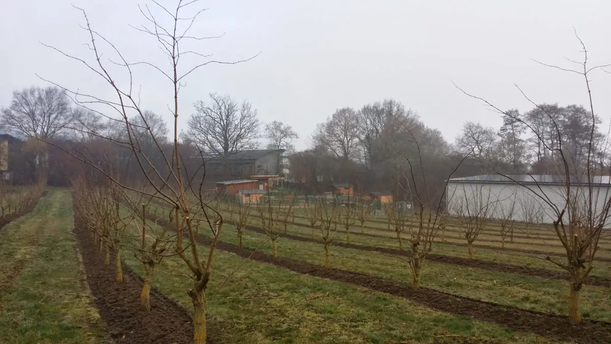 Premiumwanderweg Streuobstwiesenweg
