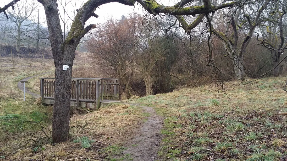 Kettiger Bach