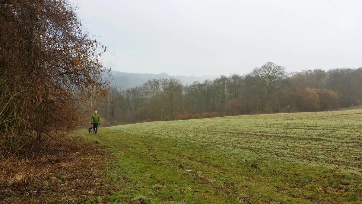 Vulkaneifel