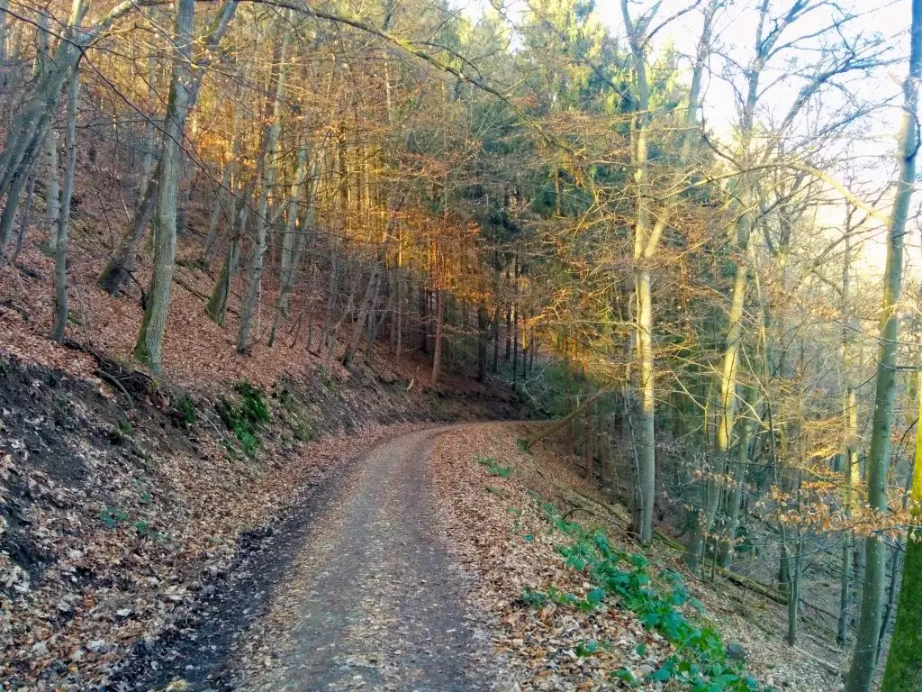 rotweinwanderweg_15022015_pic013