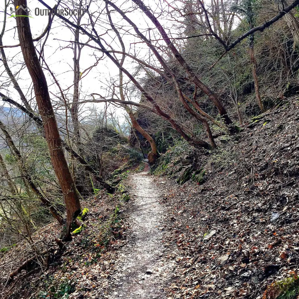 Rotweinwanderweg Ahrtal Dernau Rech - 01