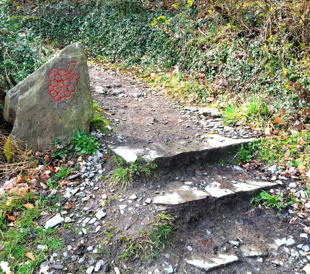 Rotweinwanderweg im Ahrtal – Nicht ganz 3 von 3