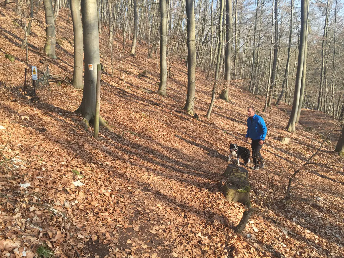 Siewe-Stuwe Weg Steig mit Hund