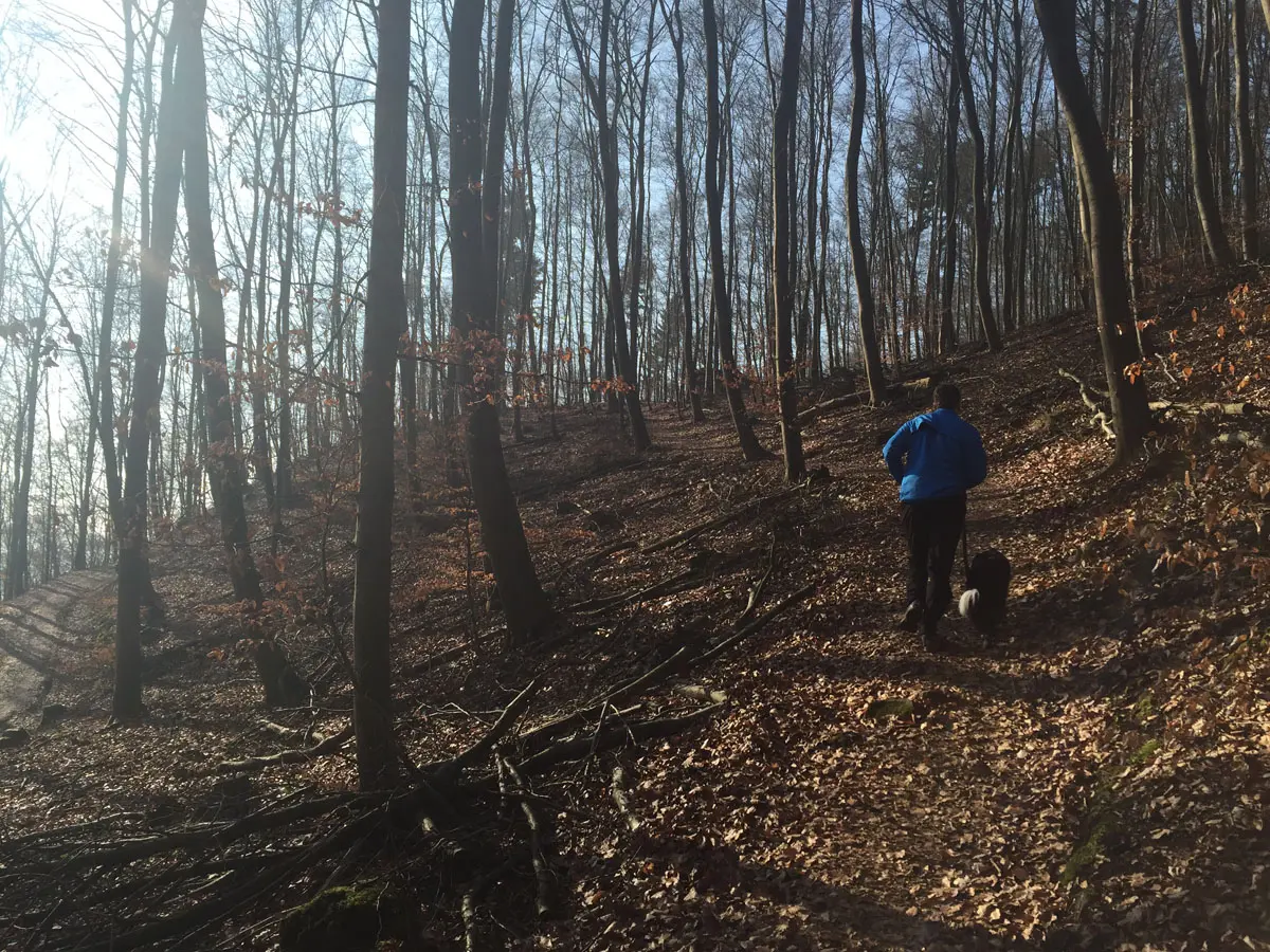 Trailrunning mit Hund