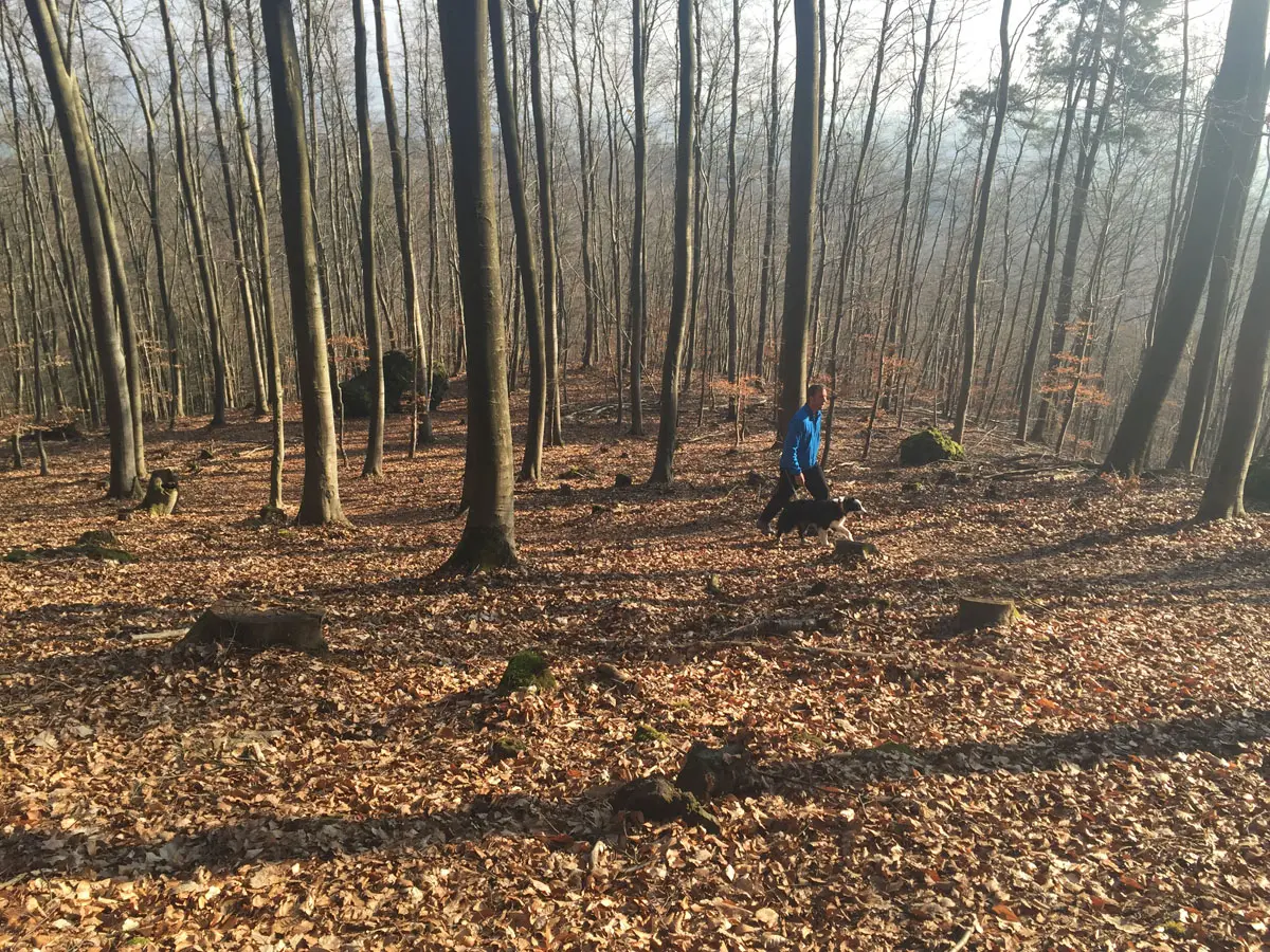 Siewe-Stuwe Weg Steig Traumpfad