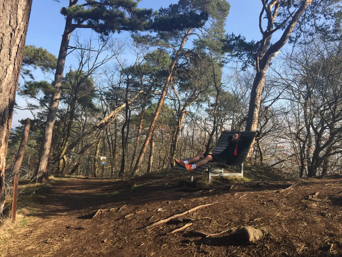 Wandern Traumpfad Eifel