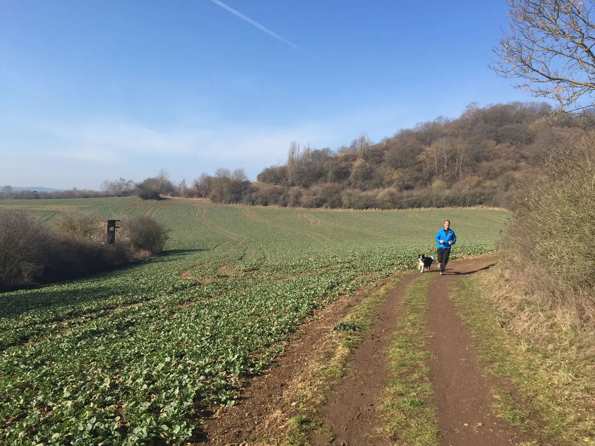 traumpfade eifel vulkanpfad
