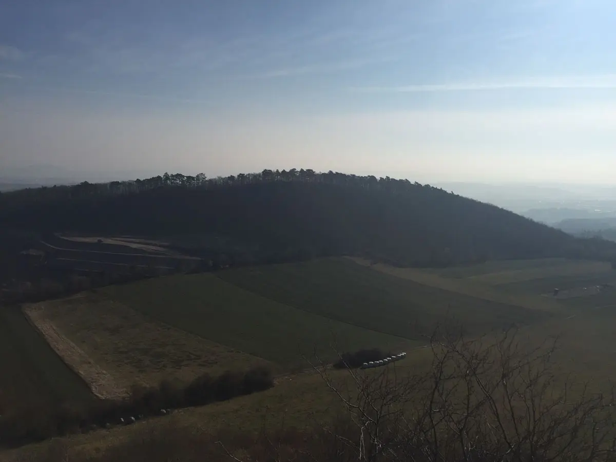 Ausblick Ettringer Bellberg
