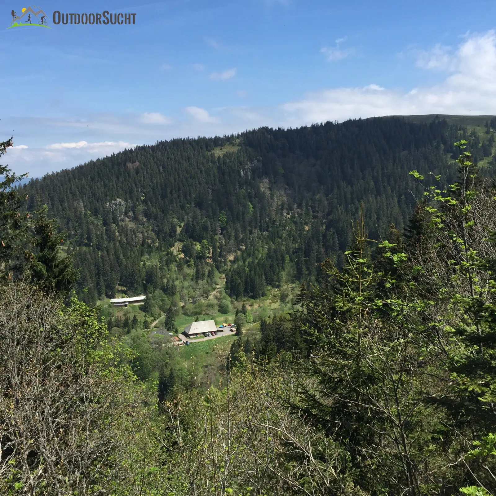 Feldberg Steig Schwarzwald