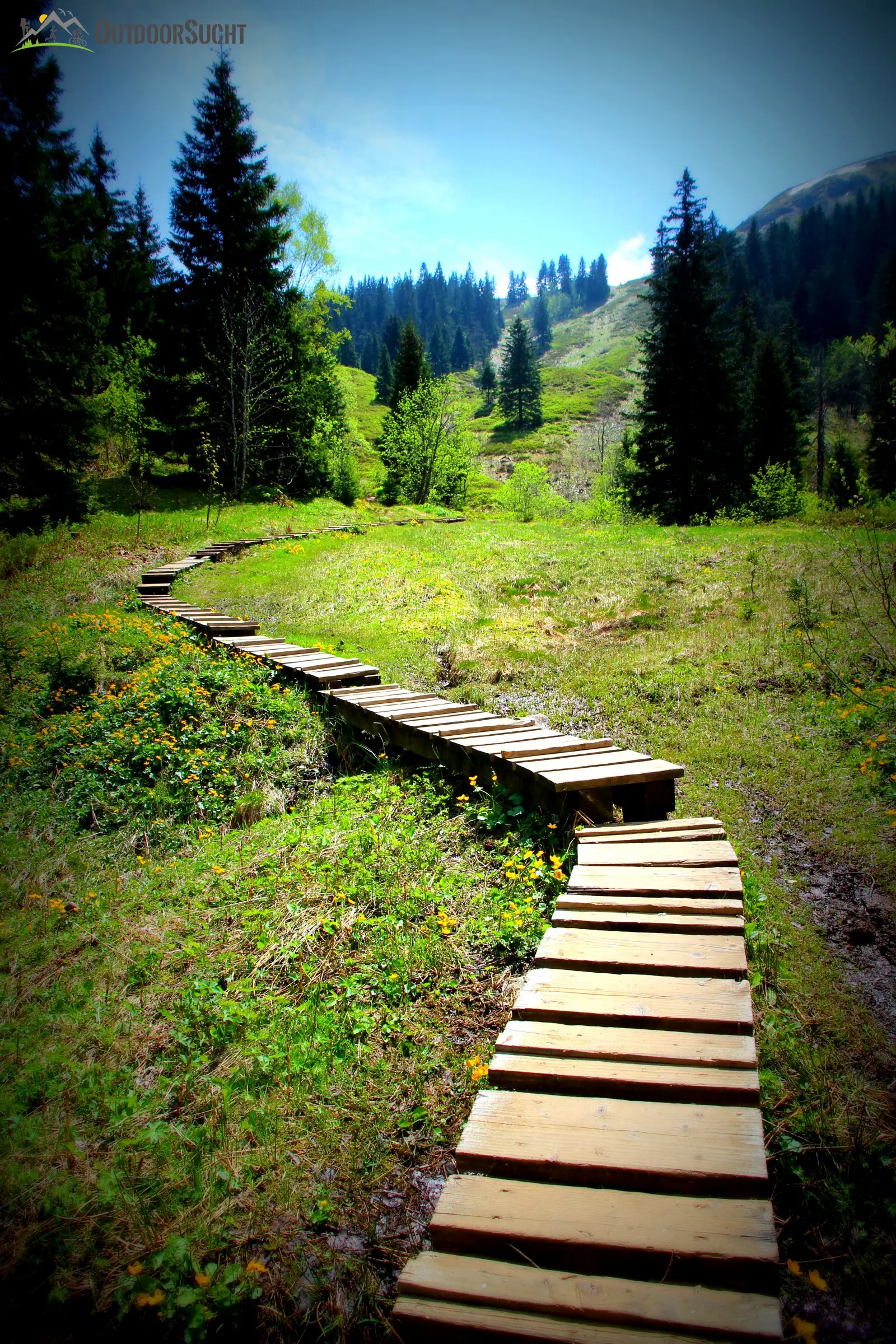Feldberg Steig Schwarzwald