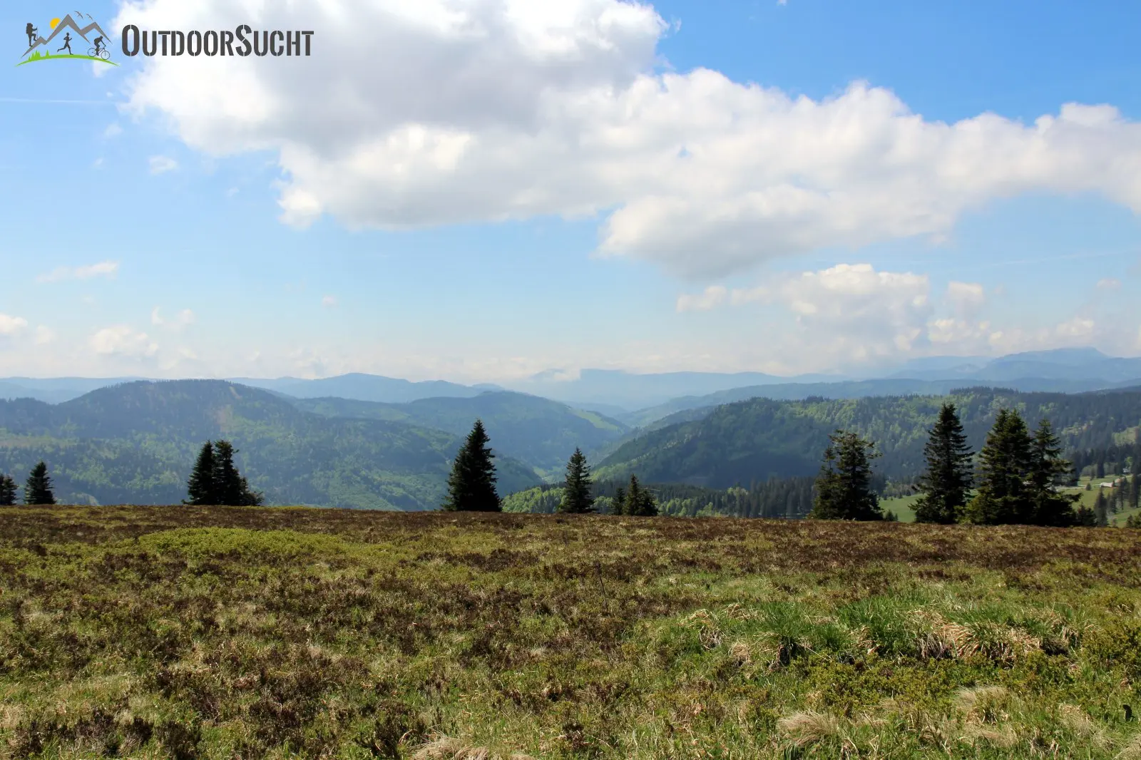 Feldberg Steig Schwarzwald