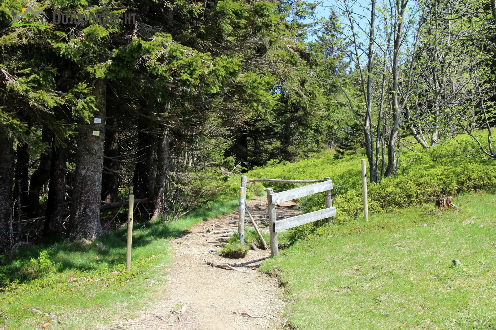 Feldberg Steig Schwarzwald