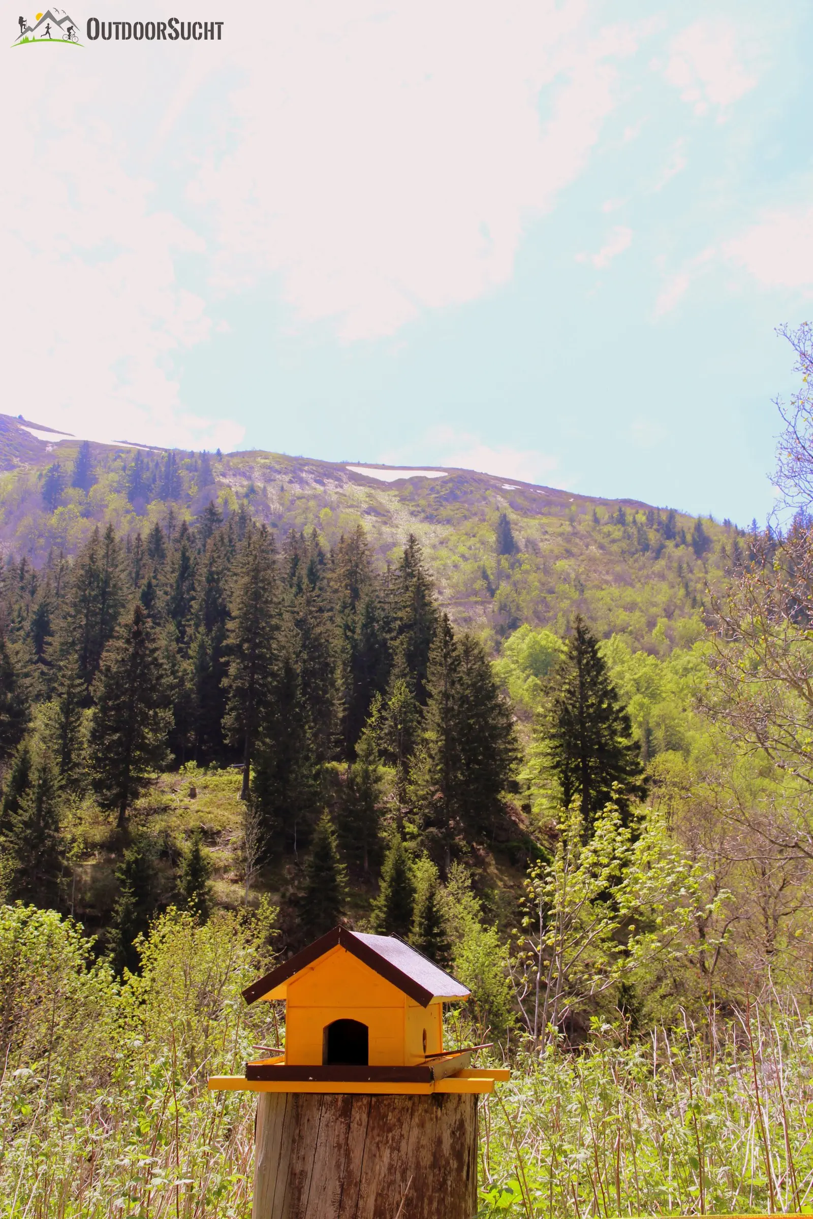 Feldberg Steig Schwarzwald