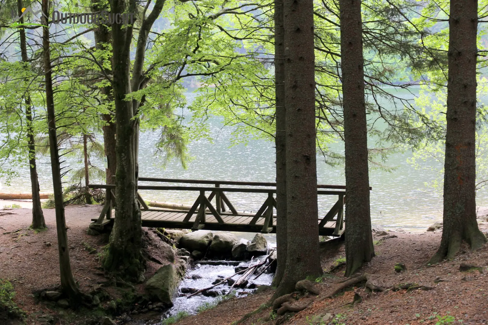 Feldberg Steig Schwarzwald