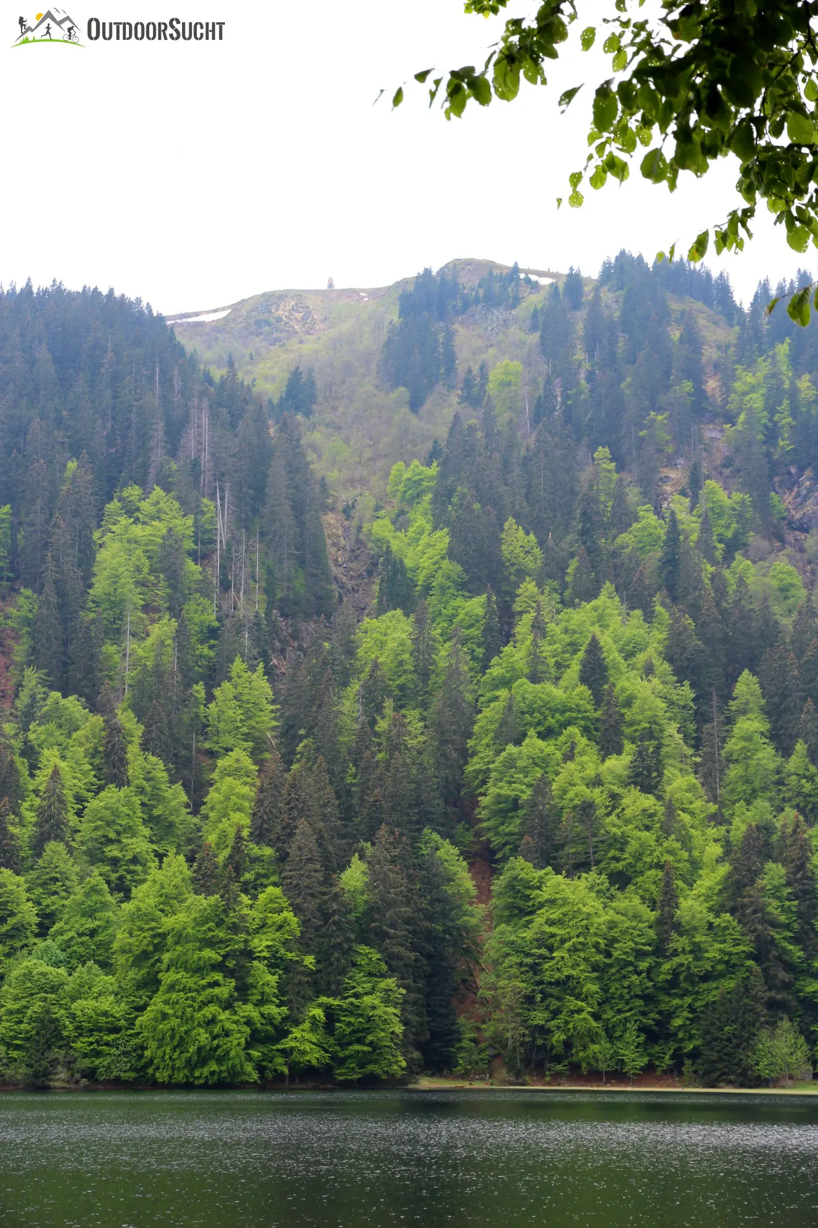 Feldberg Steig Schwarzwald