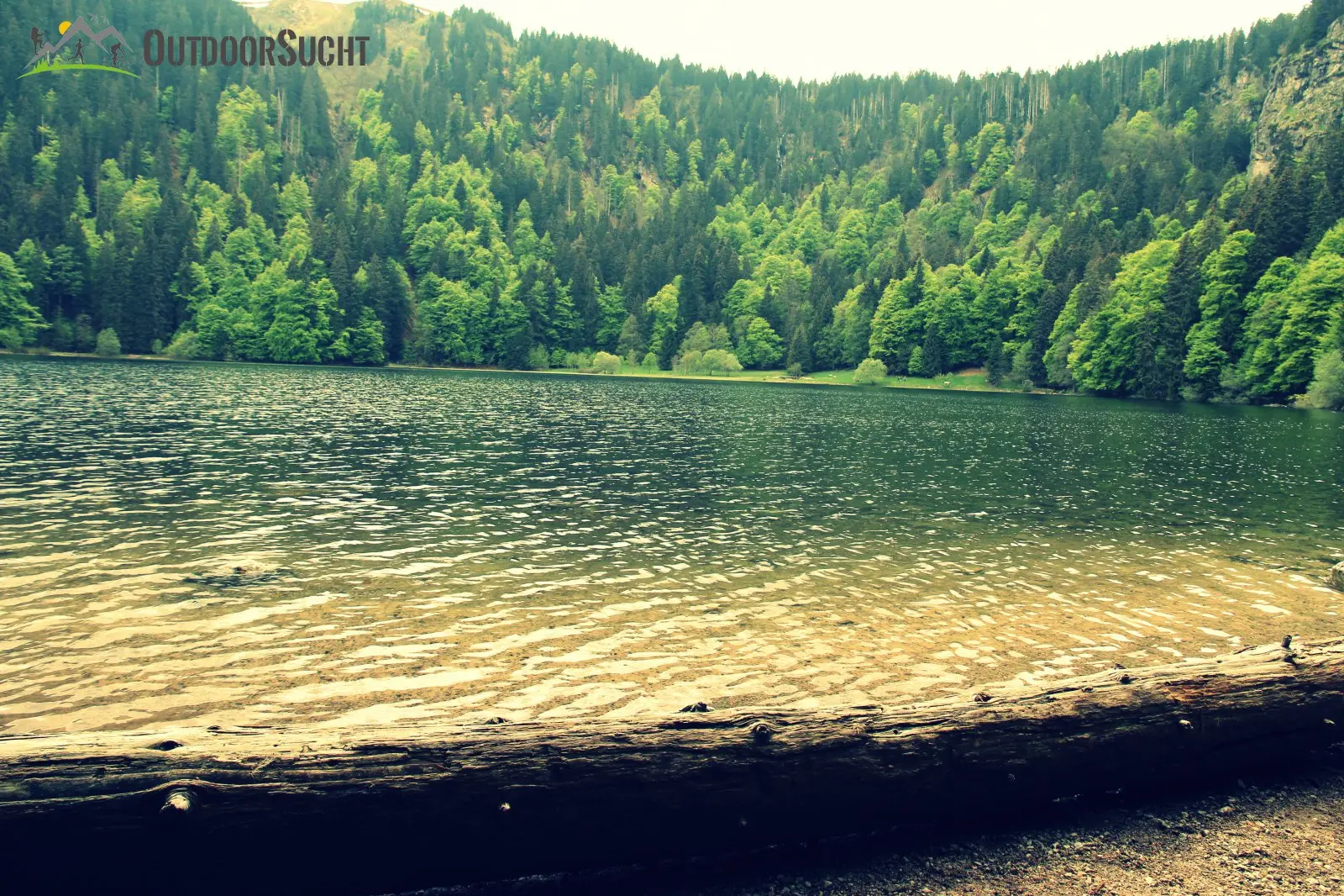 Feldberg Steig Schwarzwald