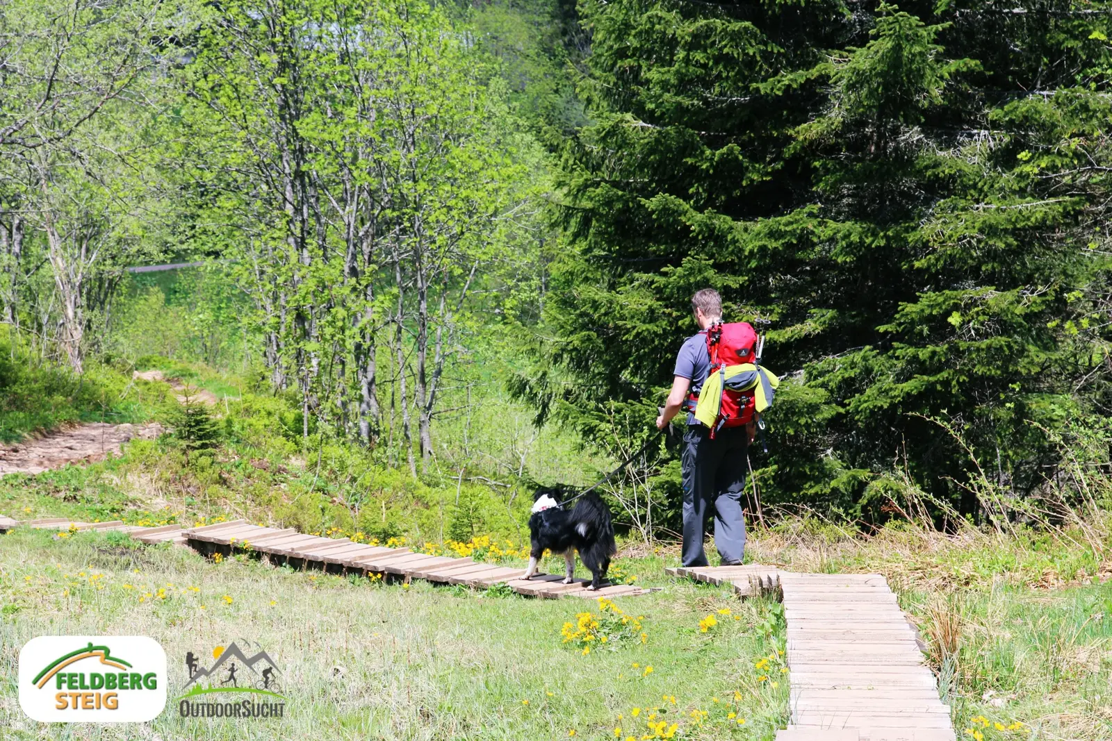 Feldbergsteig – Die höchste Tour im Hochschwarzwald