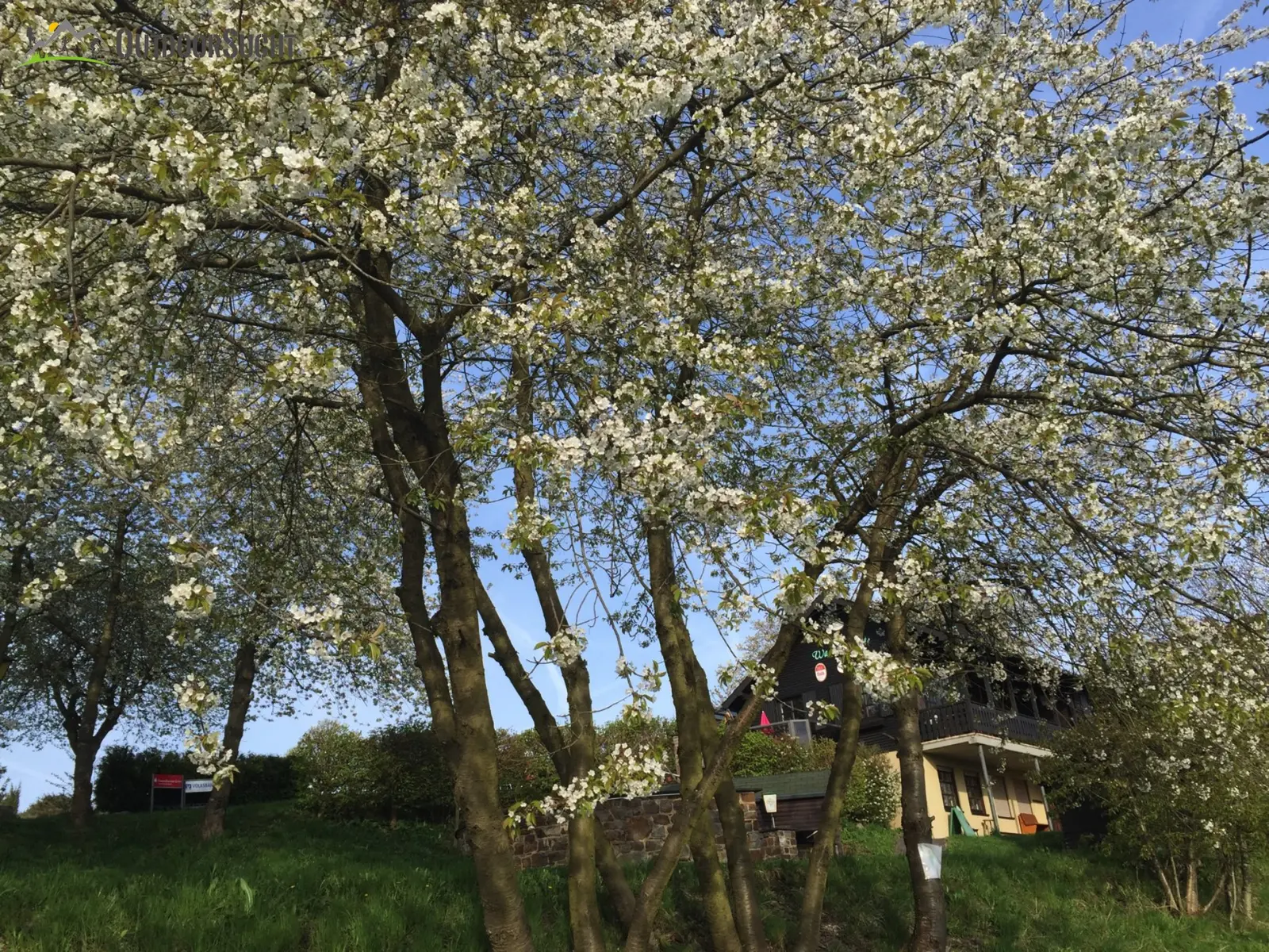 Traumpfad Wacholderweg Eifel Traumpfade 