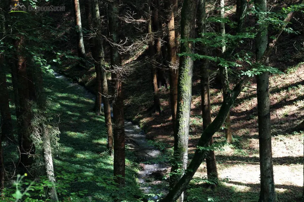 Rotweinwanderweg Altenahr - IMG_8252