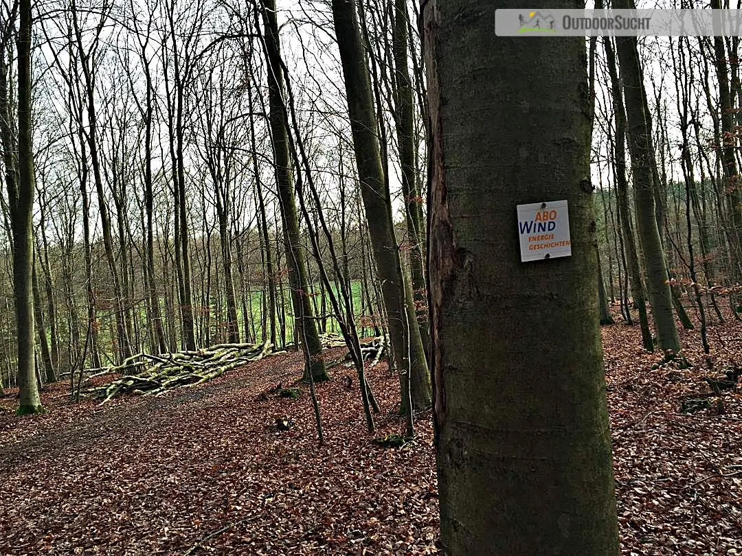 Haengeseilbruecke Geierlay Moersdorf