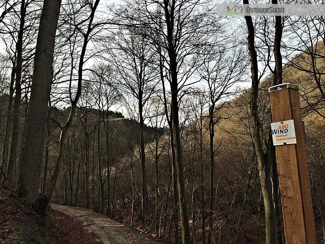 Haengeseilbruecke Geierlay Moersdorf