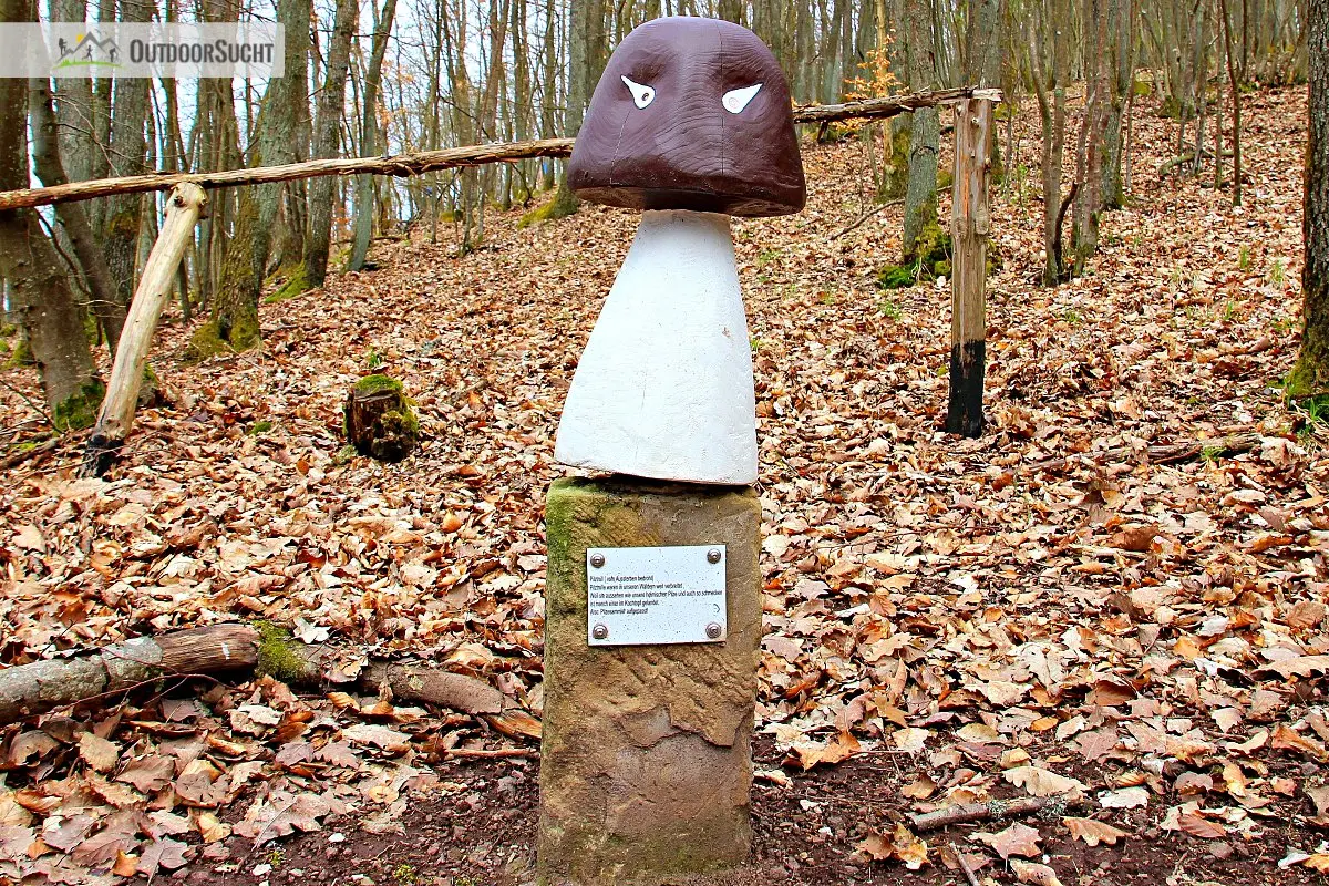 Graefin Loretta Traumschleife Saar-Hunsrueck-Steig - 12