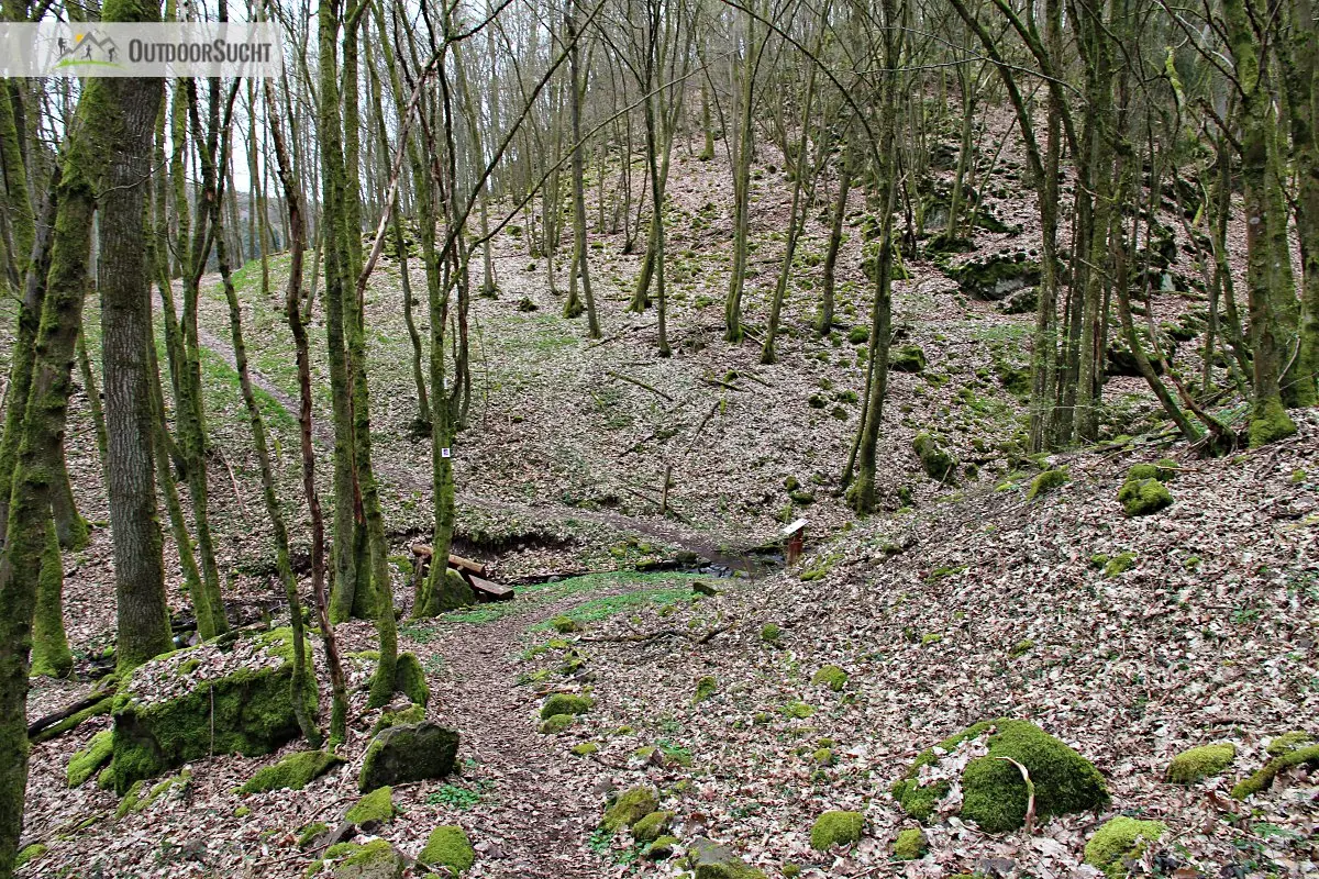 Graefin Loretta Traumschleife Saar-Hunsrueck-Steig - 17