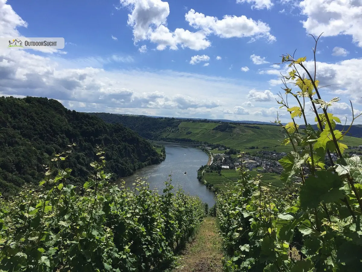 Moselsteig Etappe 9 Neumagen Osann-Monzel Kesten - 10