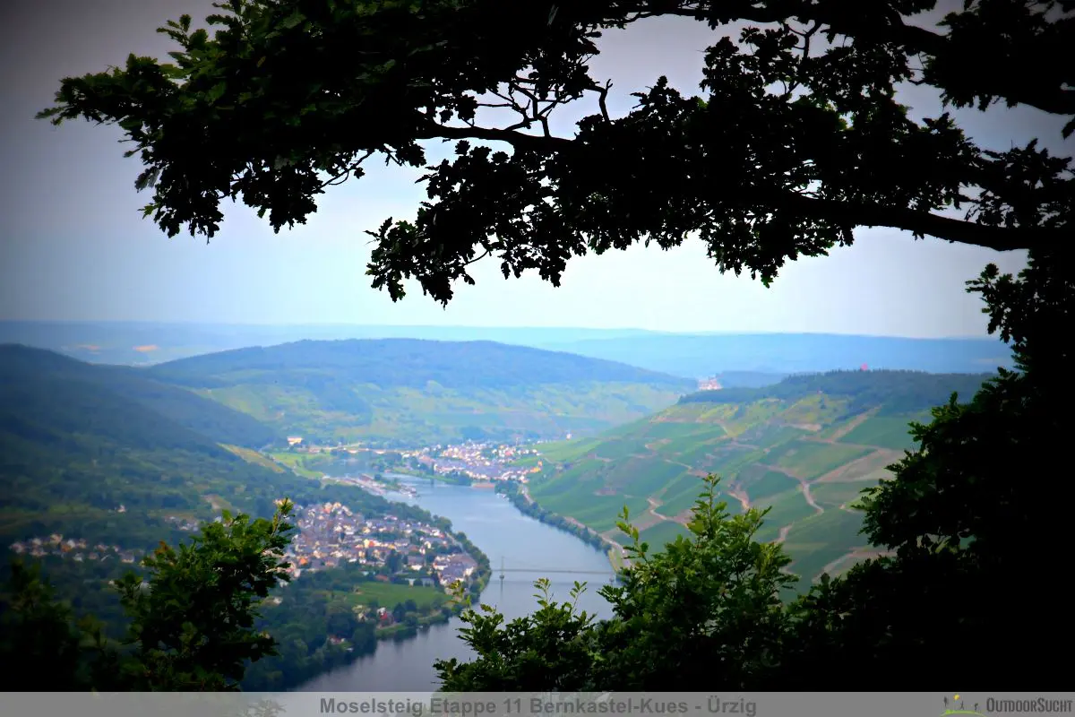 Moselsteig Bernkastel Kues Uerzig 11 - 17