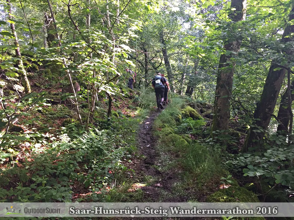 Wandermarathon Saar-Hunsrueck-Steig 2016 - 21