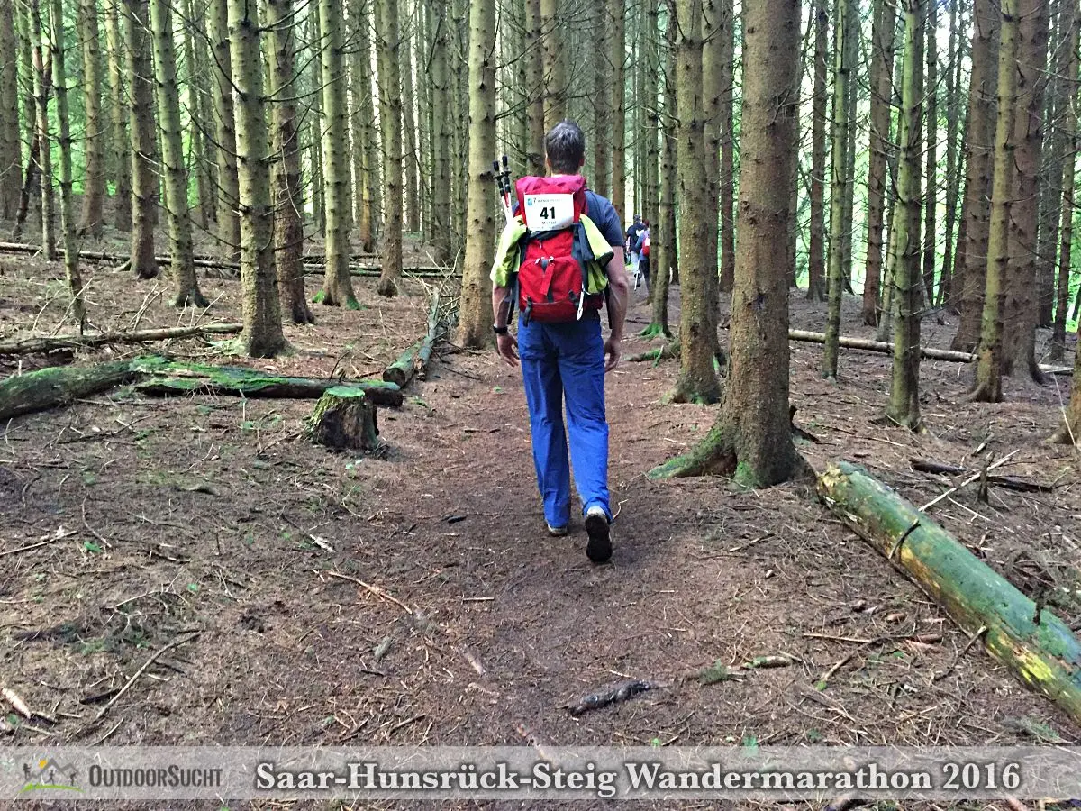 Wandermarathon Saar-Hunsrueck-Steig 2016 - 30