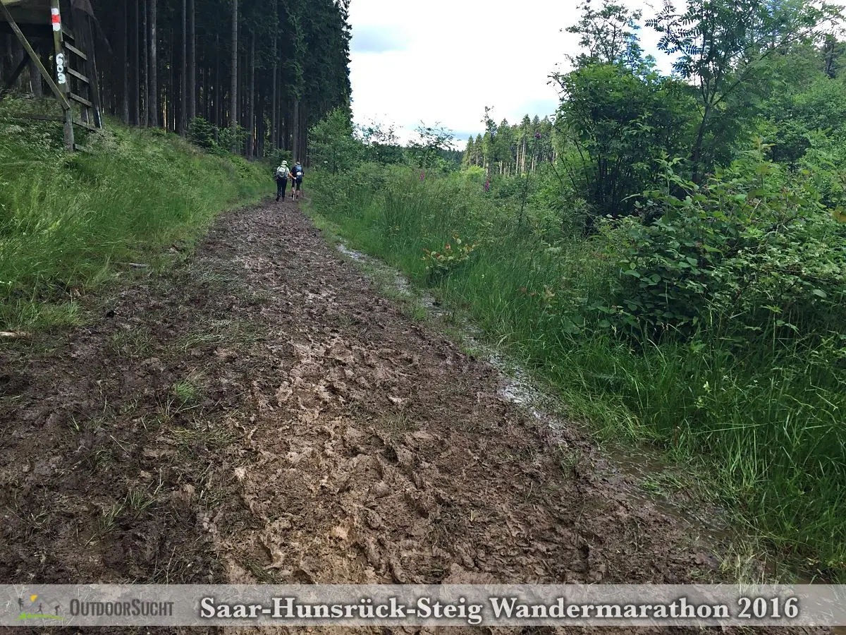 Wandermarathon Saar-Hunsrueck-Steig 2016 - 35