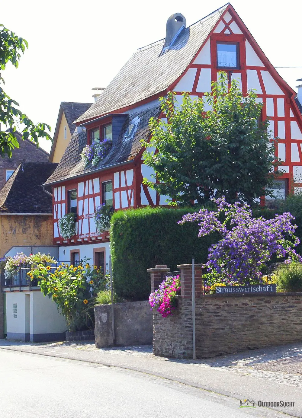 moselsteig-etappe-14-reil-zell-09