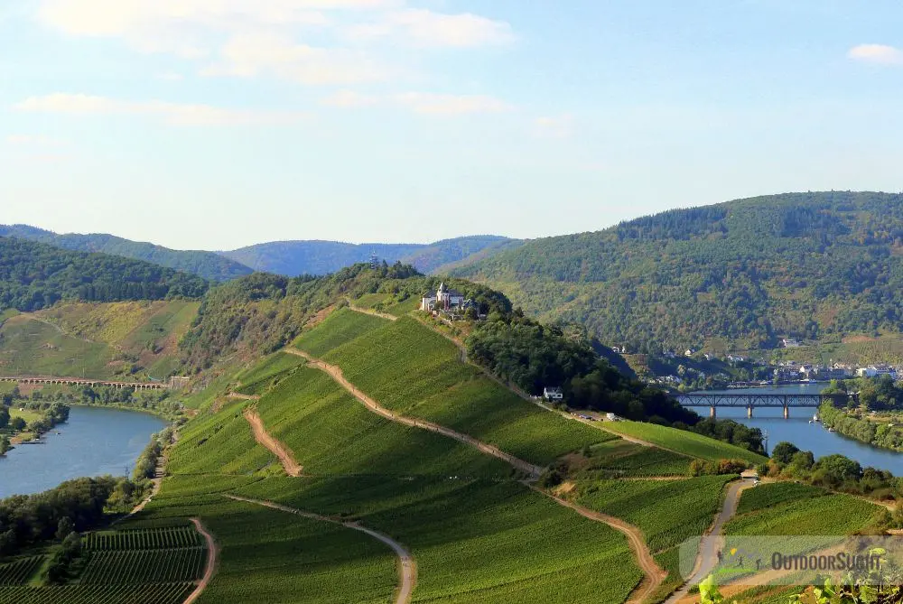 Moselsteig Etappe 14 – Unterwegs von Reil nach Zell