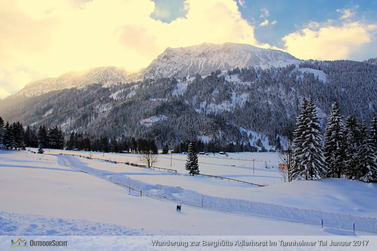 Adlerhorst Tannheimer Tal Haldensee 2017010606